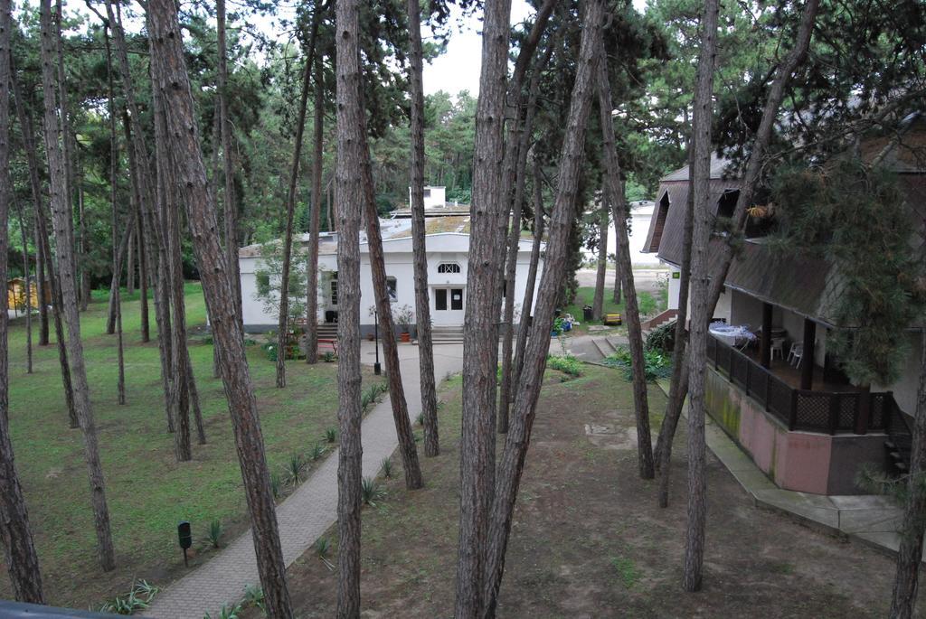 שיופוק Hotel Stella מראה חיצוני תמונה